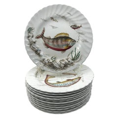 Antique Set of Twelve English Fish Plates