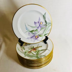 Set of Twelve English Plates Each Painted with Different Orchids Signed F. Allen
