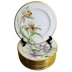 Set of Twelve English Plates Each Painted with Different Orchids Signed F. Allen
