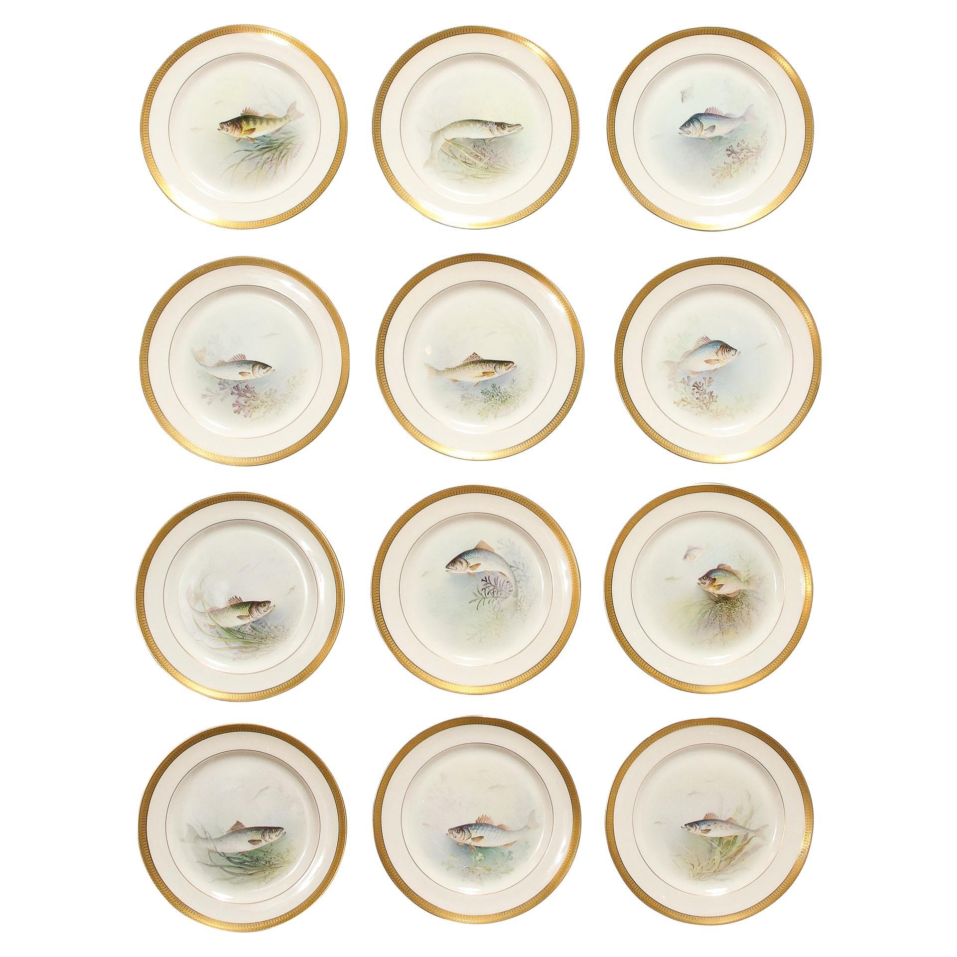 Ce remarquable ensemble de douze assiettes en porcelaine Lenox peintes à la main, signées William Morley et représentant des poissons, provient des États-Unis, vers 1900. Nature : une bordure dorée avec des motifs naturels et géométriques répétitifs