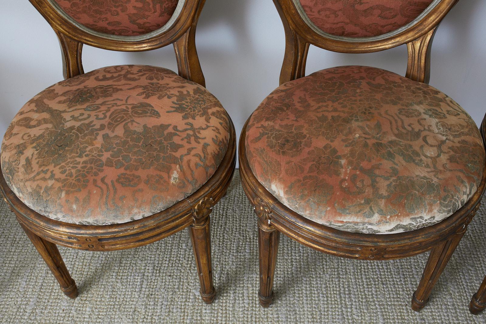 Set of Twelve Louis XVI Style Giltwood Dining Chairs (Samt)