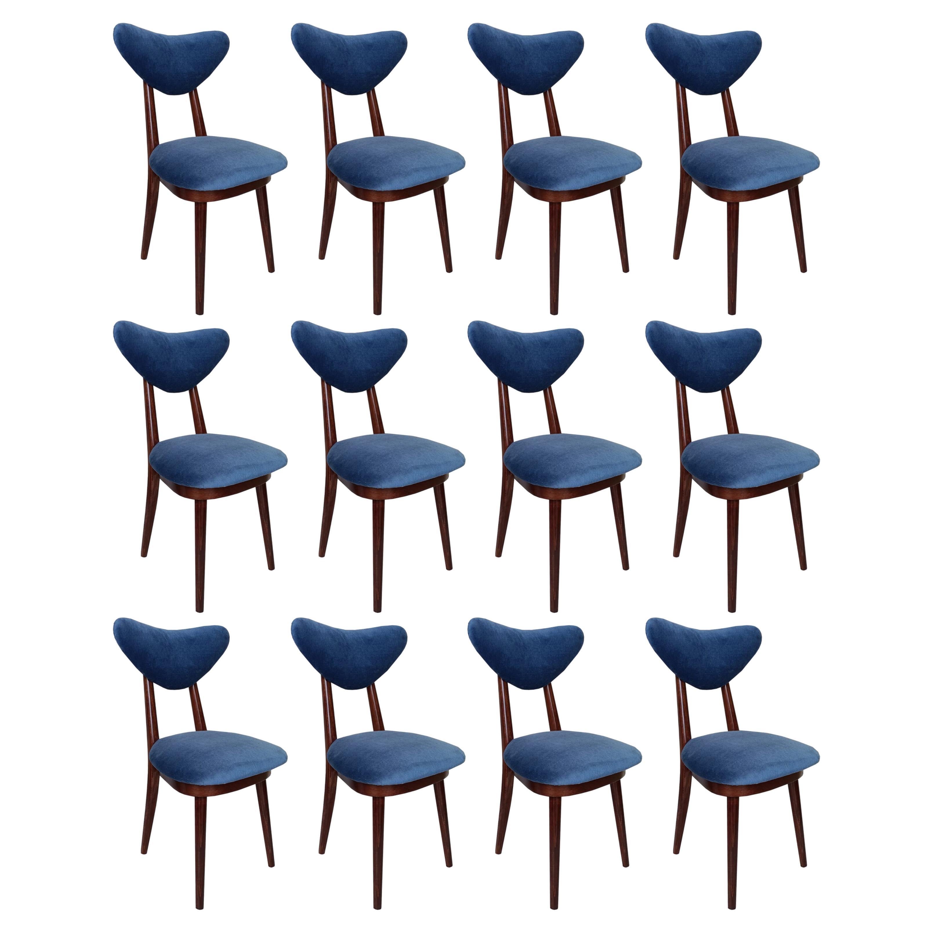 Set of Twelve Mid Century Blue Velvet, Walnut Wood, Heart Chairs, Poland, 1960s