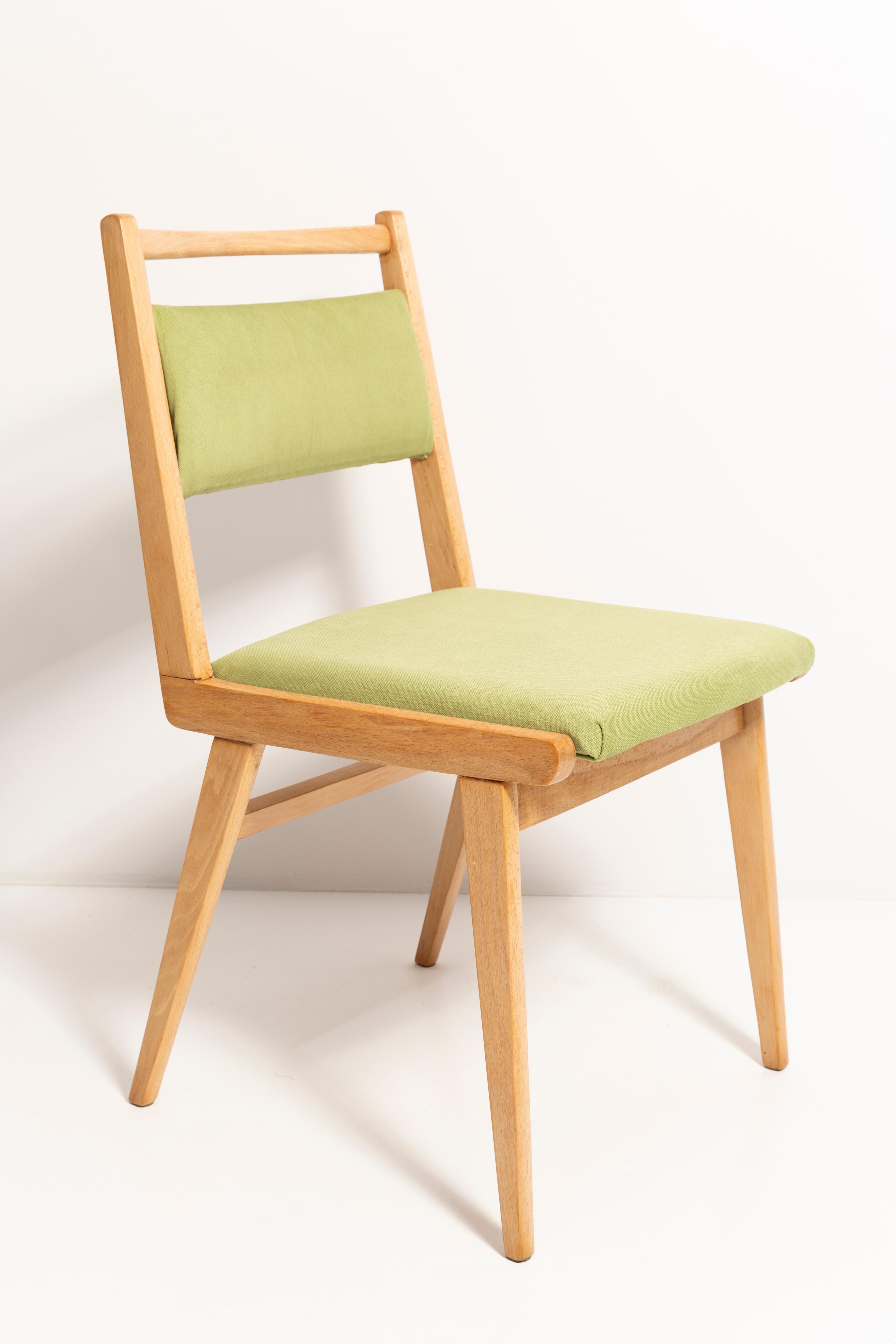 Chaises conçues par le professeur Rajmund Halas. C'est un modèle de type jar. Fabriqué en bois de hêtre. Les chaises ont été entièrement rénovées et les boiseries ont été rafraîchies. L'assise et le dossier sont habillés d'un tissu vert clair,