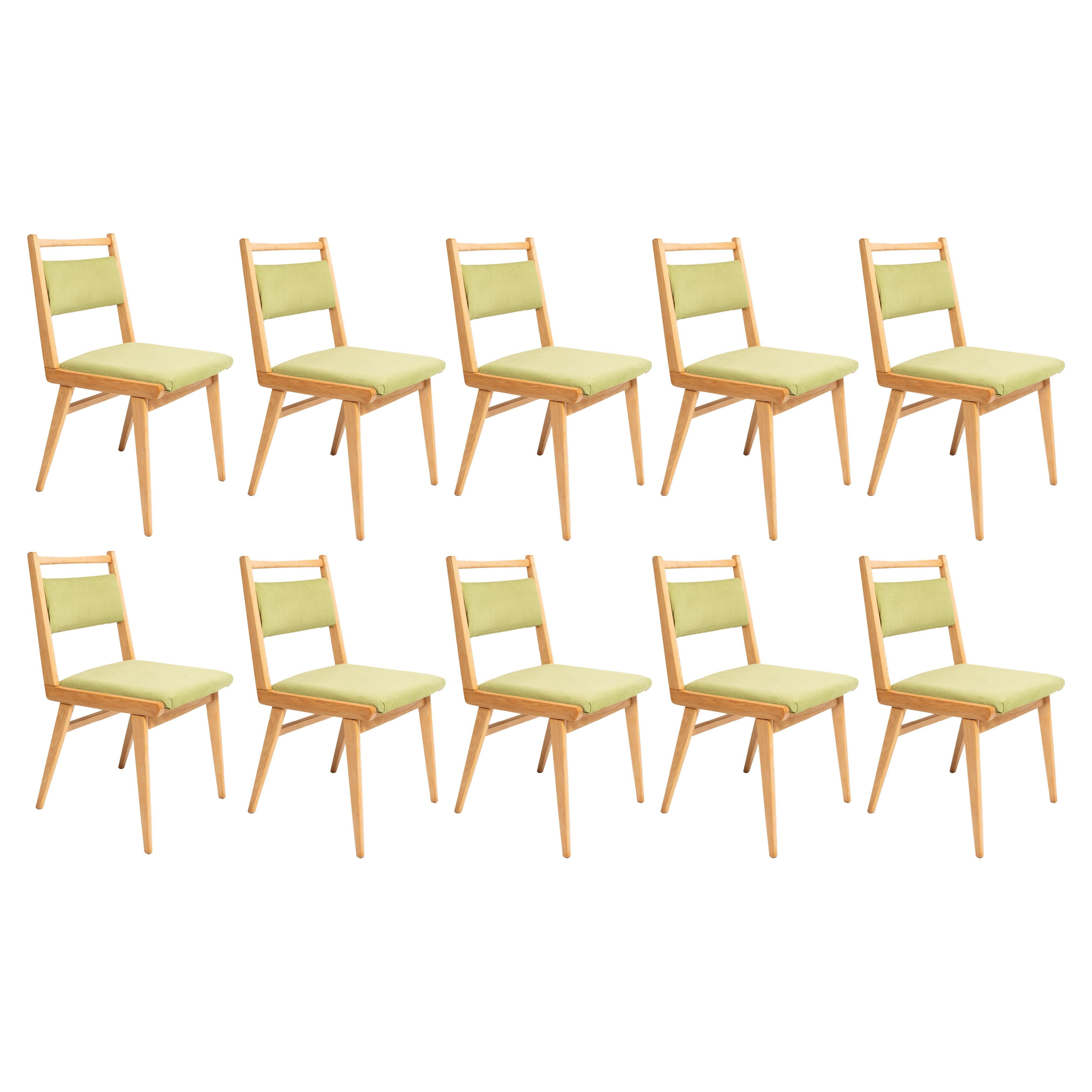 Set of Twelve Mid Century Light Green Velvet Chairs, Poland, 1960s