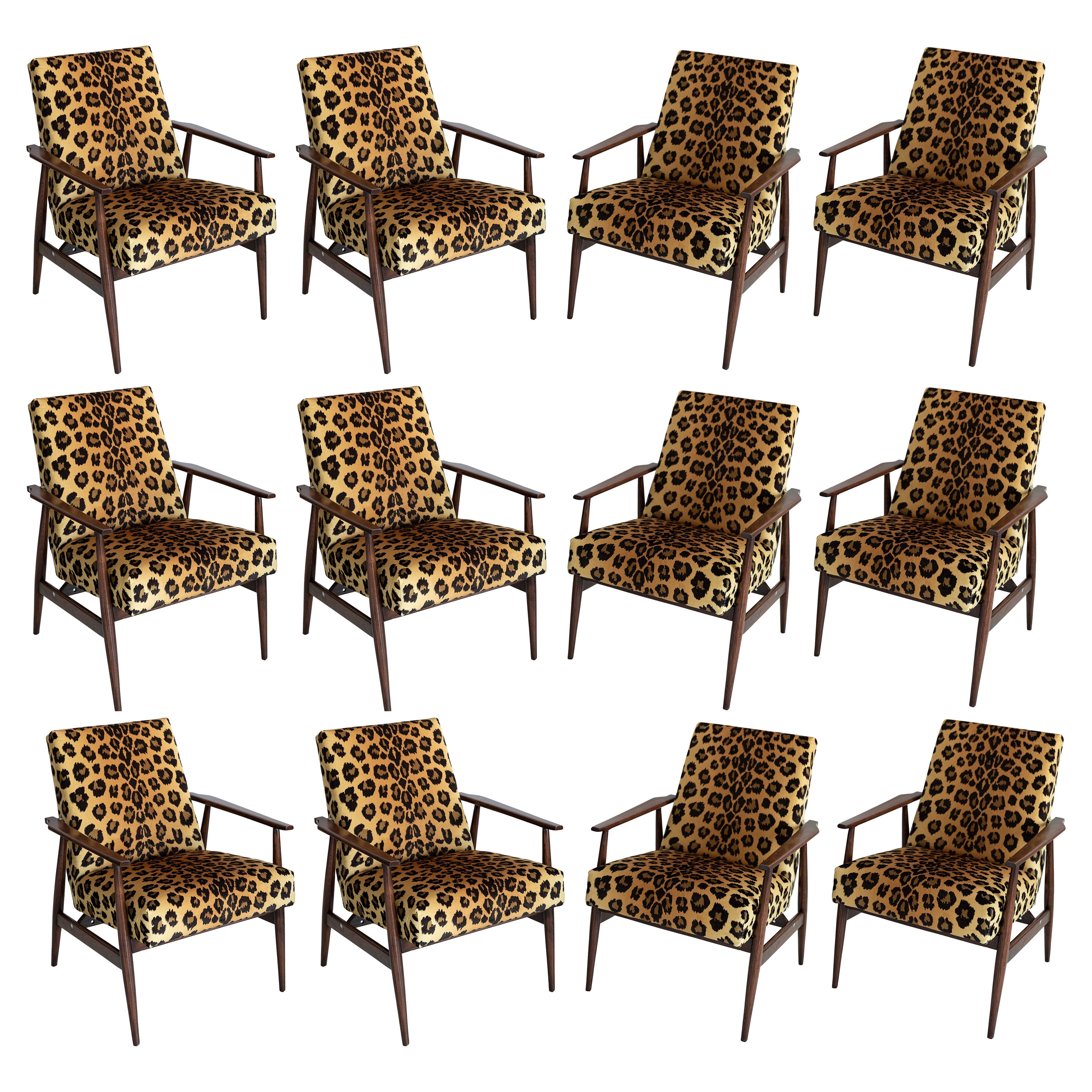 Set di dodici poltrone Dante in velluto con stampa leopardata del Medioevo, H. H. Lis, 1960