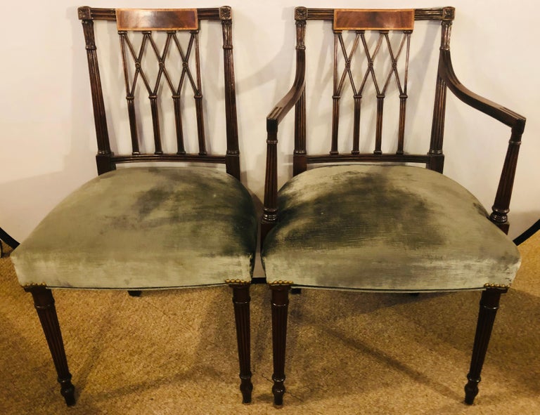 Set of Twelve Sheridan Style Dining Chairs with New Upholstery at 1stDibs
