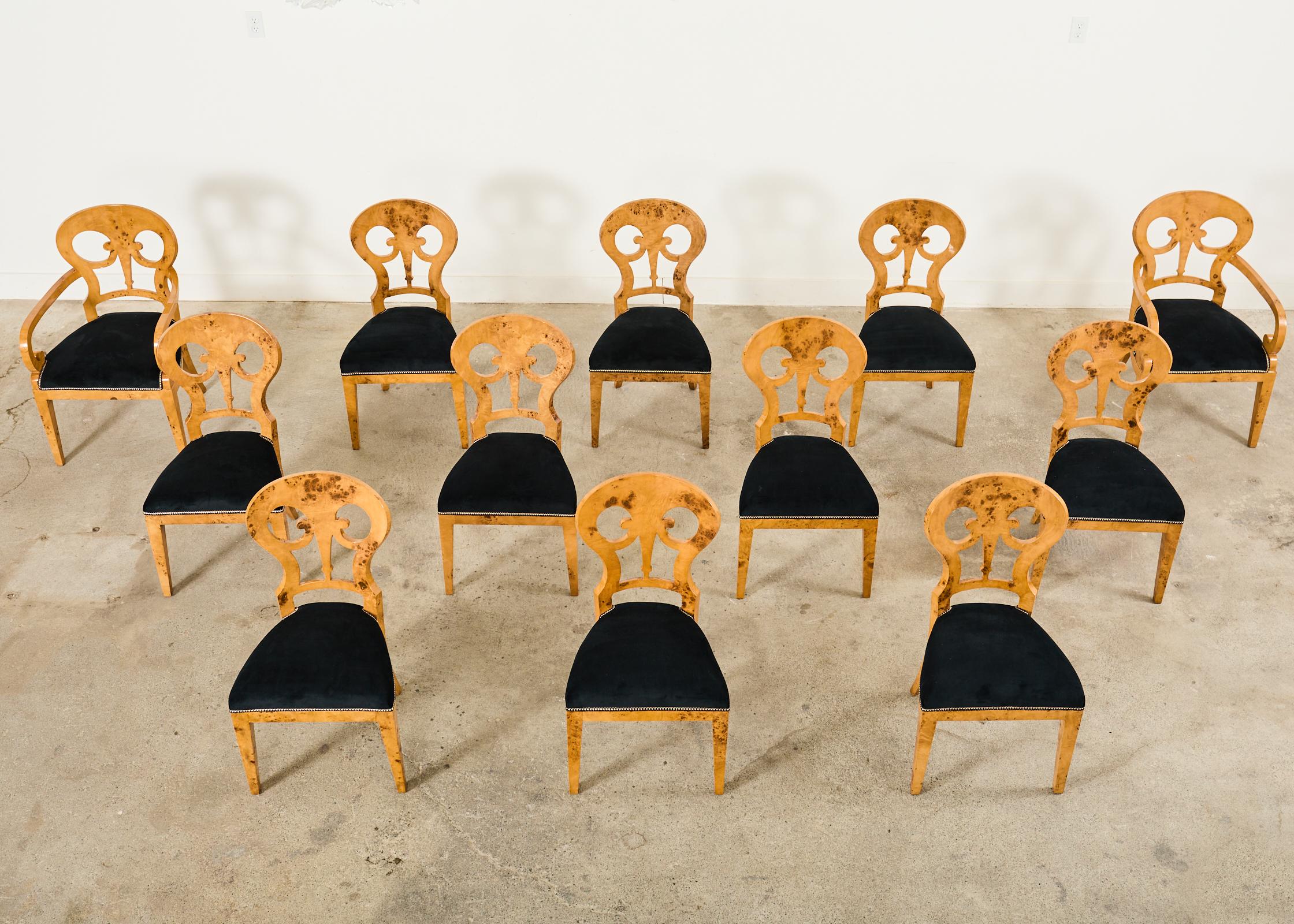 Dramatic set of twelve burl maple root veneer dining chairs made in the Viennese Biedermeier style. The set consists of ten side chairs and two host armchairs measuring 22 inches wide and 22 inches deep. The chairs feature beech wood frames crafted