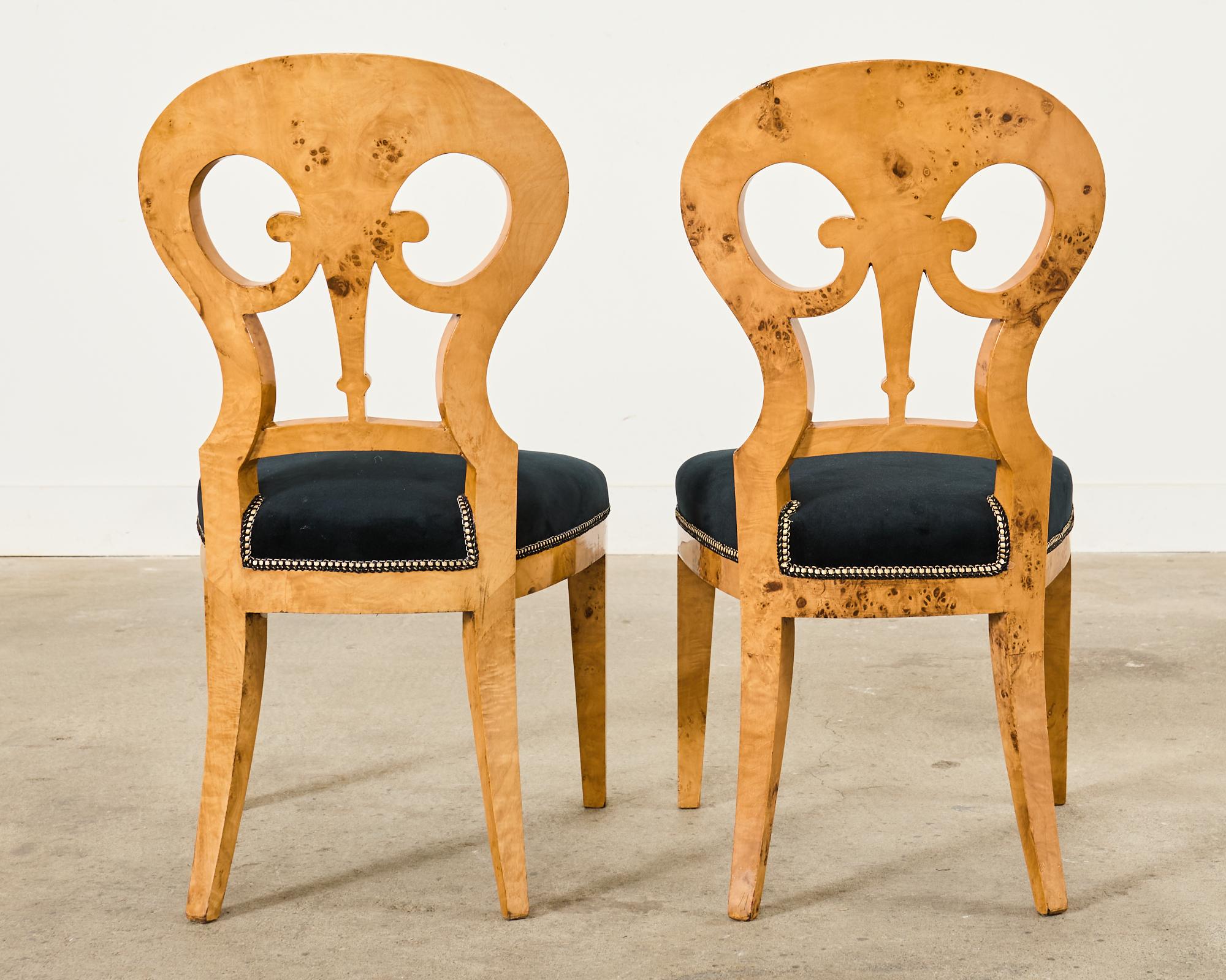 Set of Twelve Viennese Biedermeier Style Burl Maple Dining Chairs For Sale 13