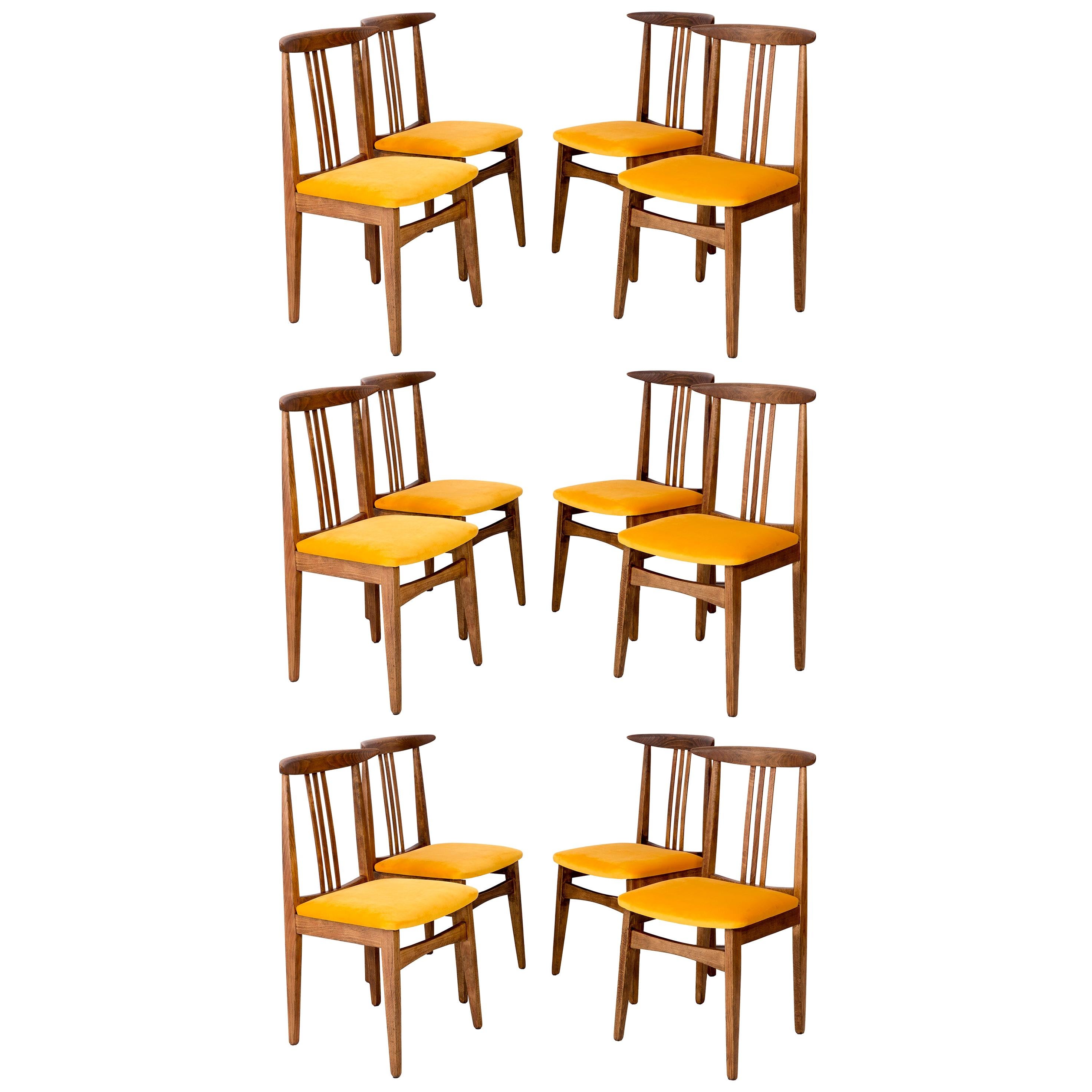 Set von zwölf gelben Stühlen, von Zielinski, Europa, 1960er Jahre