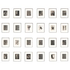 Set of Twenty Four Karl Blossfeldt Framed Photogravures Nature's Elegance (1942)