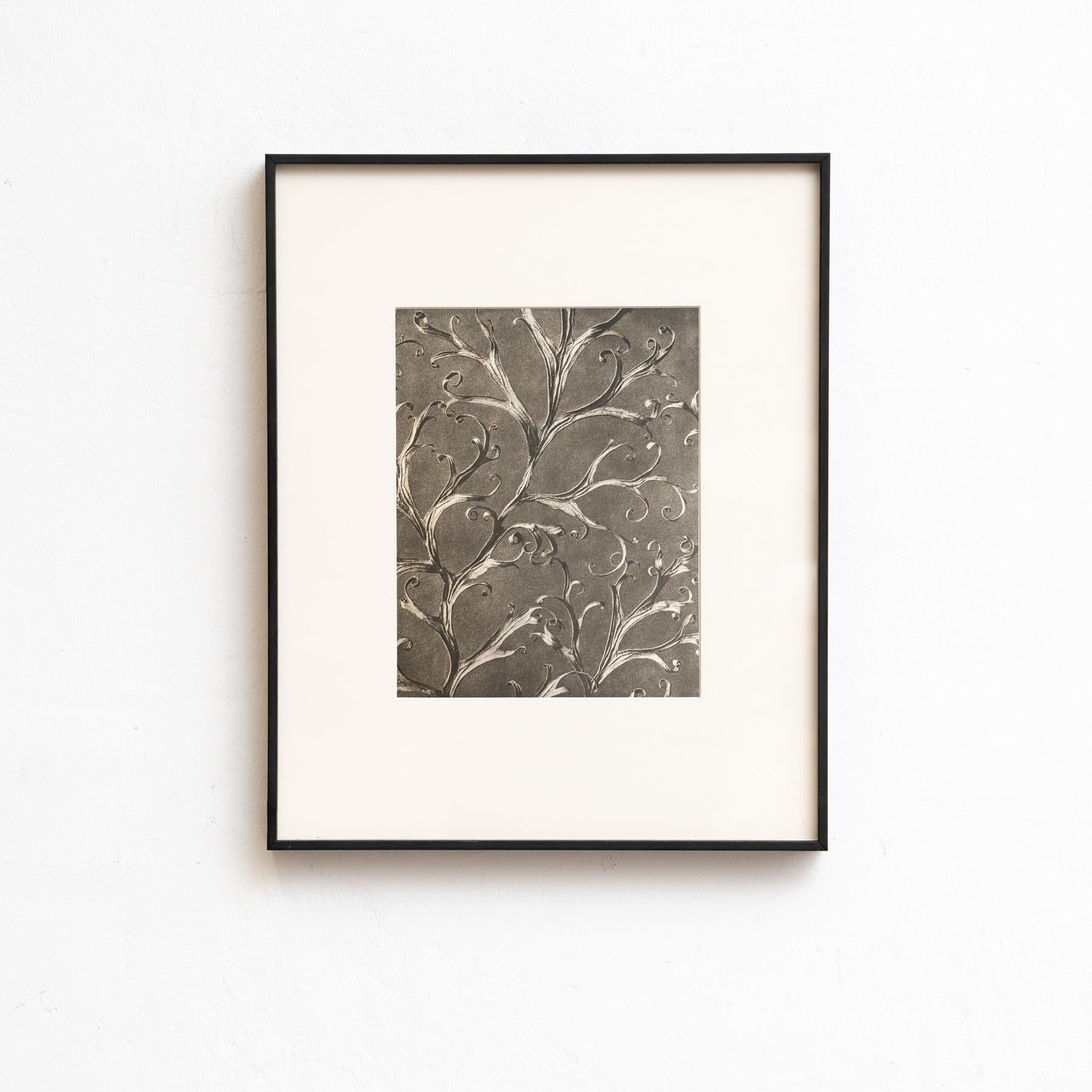 Set di venti fotogrammi incorniciati di Karl Blossfeldt: Natural Elegance (1942) in vendita 1
