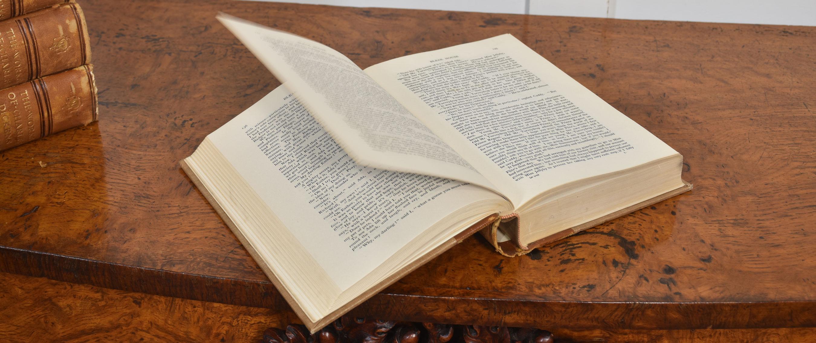 Set of twenty leather bound books by charles Dickens For Sale 2