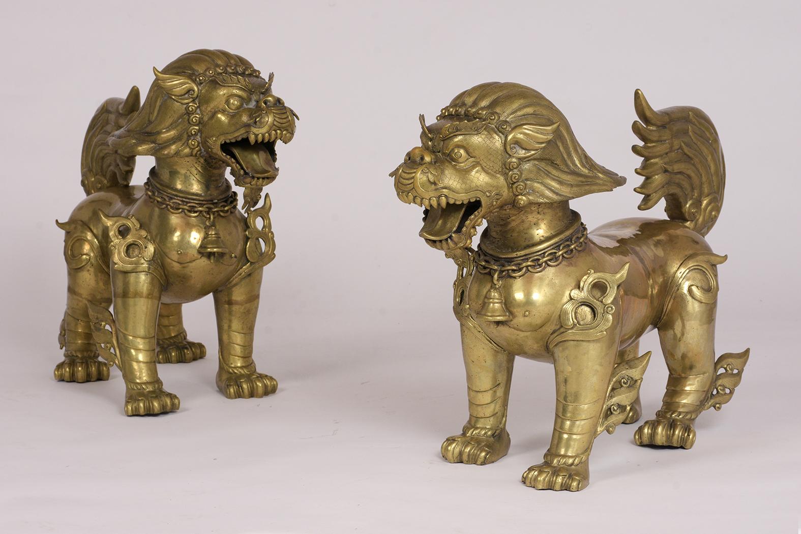 This pair of 1970s Foo dogs are made out of brass and feature the original patina intricate details on the body and head which have fierce expressions. They're also known as temple dogs. This set is ready to be displayed in any home or office for