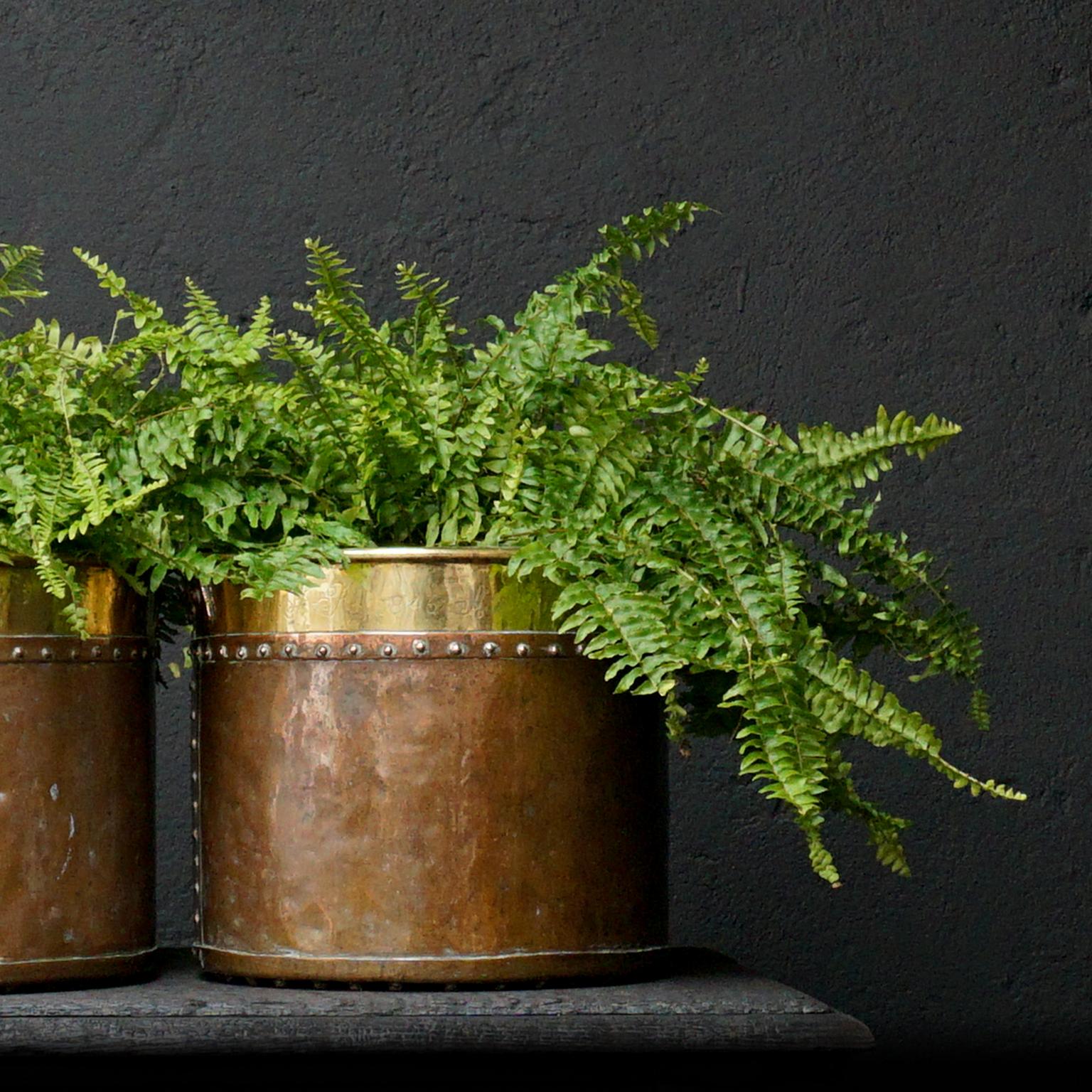 Set of Two 19th Century Dutch Copper and Brass Riveted Buckets with Zinc Insert In Good Condition In Haarlem, NL