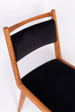 Set of Two 20th Century Black and Blue Velvet Chairs, Poland, 1960s