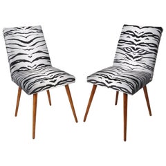 Set of Two 20th Century Black and White Zebra Velvet Chairs, 1960s
