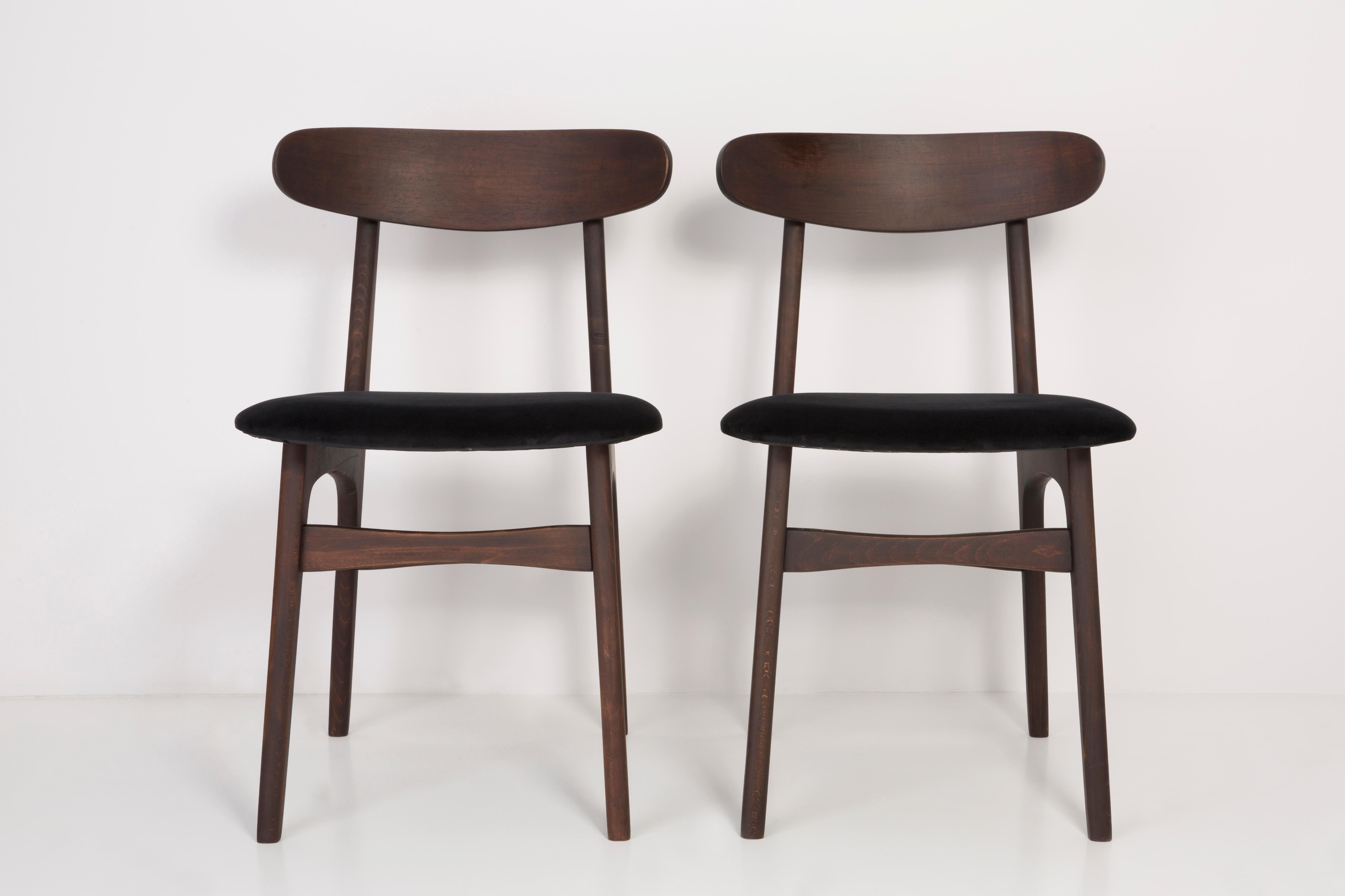 Stühle entworfen von Prof. Rajmund Halas. Hergestellt aus Buchenholz. Der Stuhl wurde komplett neu gepolstert, die Holzarbeiten wurden aufgefrischt. Sitz und Rückenlehne sind mit schwarzem, strapazierfähigem und angenehm zu berührendem Samtstoff