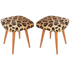 Set of Two 20th Century Leopard Vintage Stools, 1960s