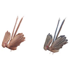 Set of Two Antique Ornithological Prints of Argus Pheasant — D’Orbigny, Paris