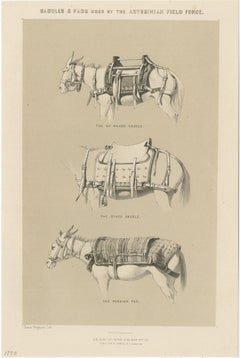 Set of Two Antique Prints of Saddles and Pads Used by the Field Force, 1870