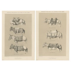 Conjunto de dos grabados antiguos de sillas de montar y almohadillas utilizadas por la Fuerza de Campaña, 1870