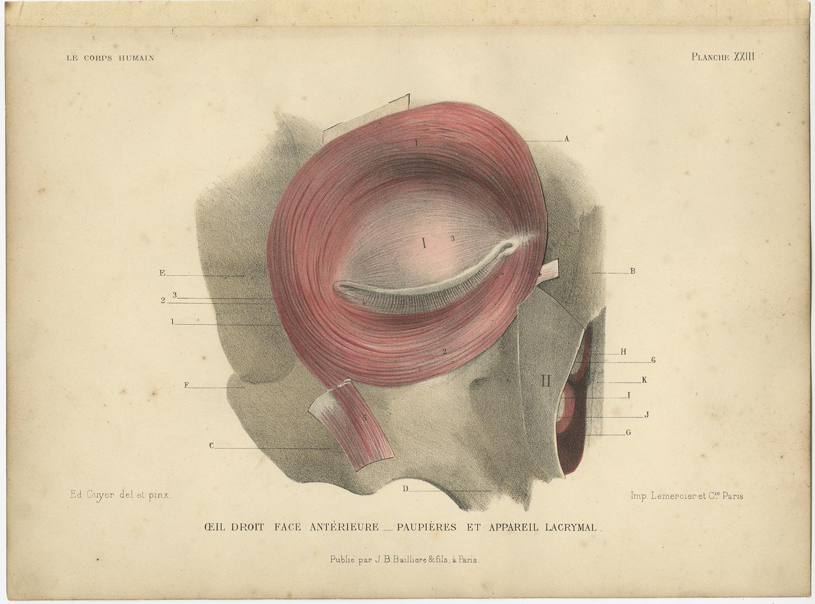 Set of Two Antique Prints of the Human Eye by Kuhff, 1879 In Fair Condition For Sale In Langweer, NL