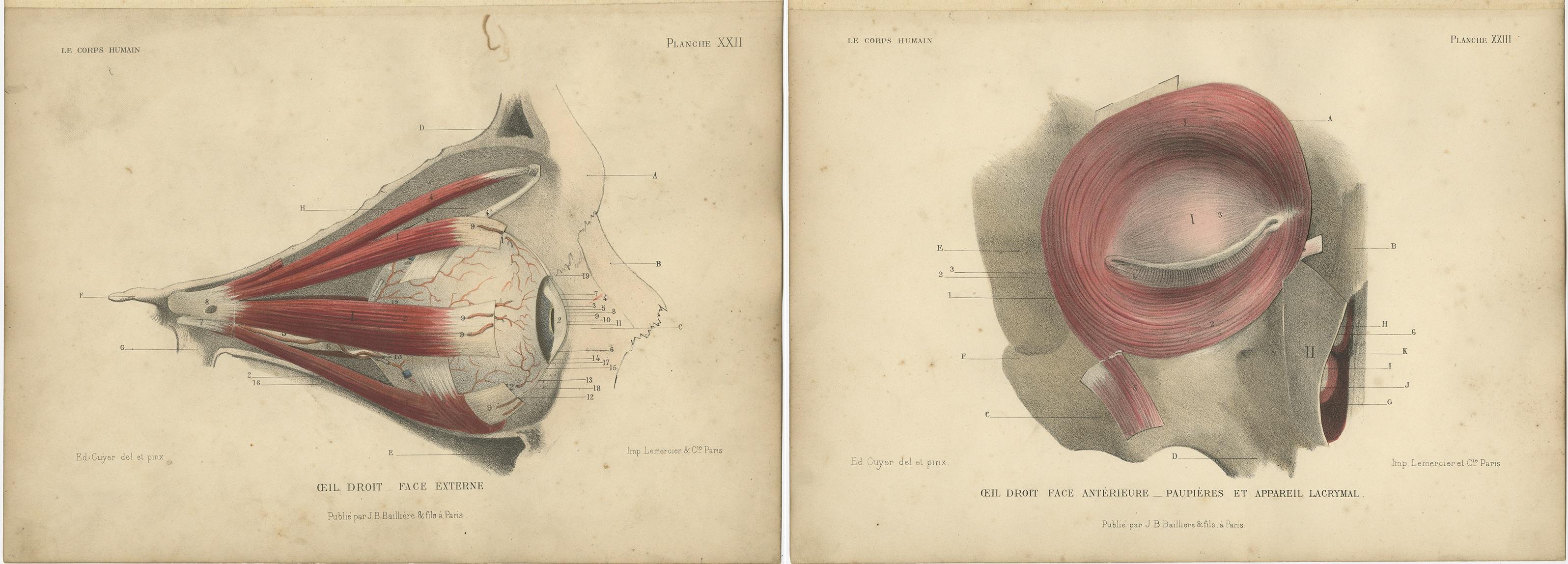 19th Century Set of Two Antique Prints of the Human Eye by Kuhff, 1879 For Sale