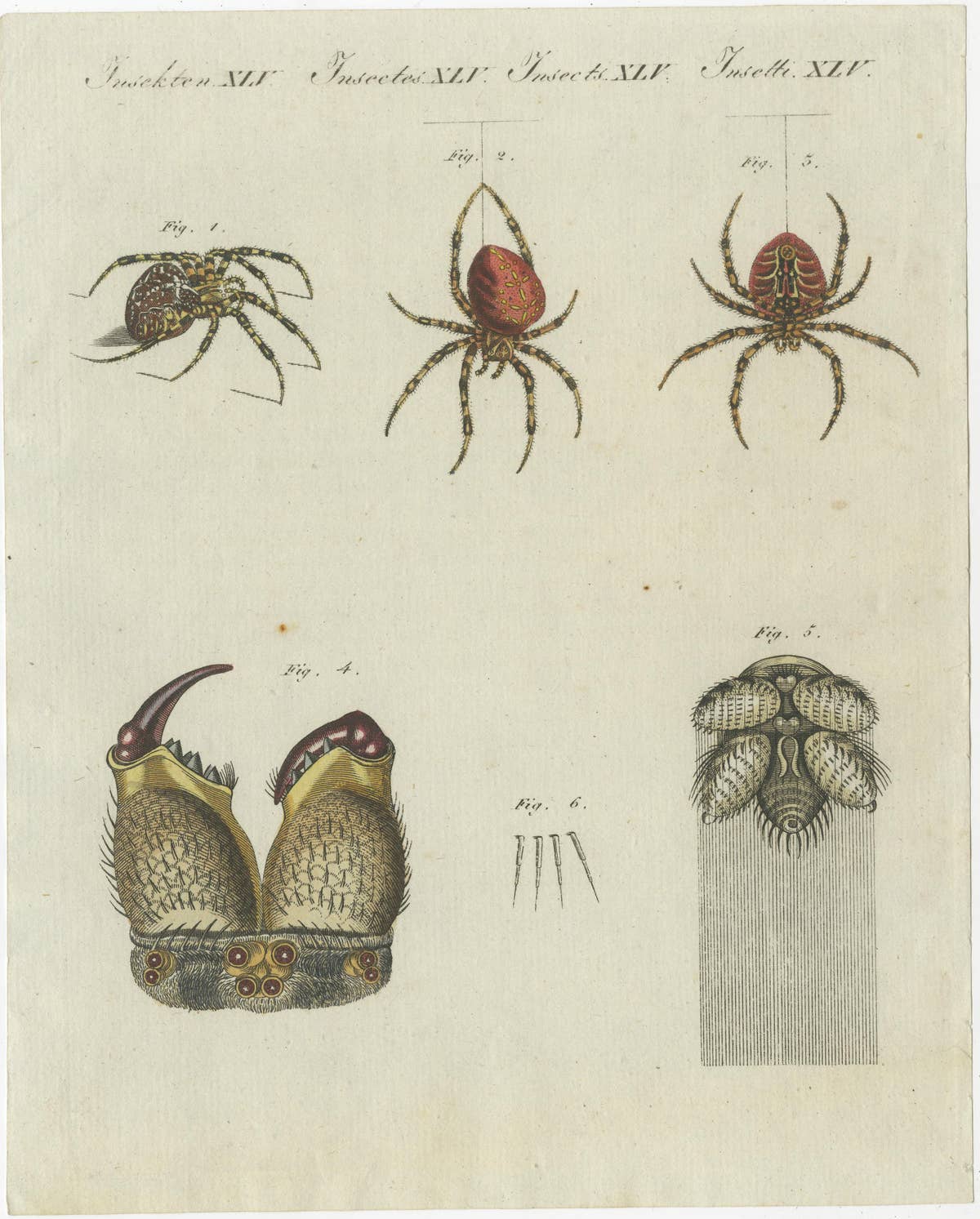 Set of Two Antique Prints of Various Insects Including Spiders and Mites