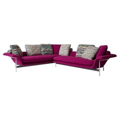 Set di due divani Antonio Citterio Esosoft di Cassina