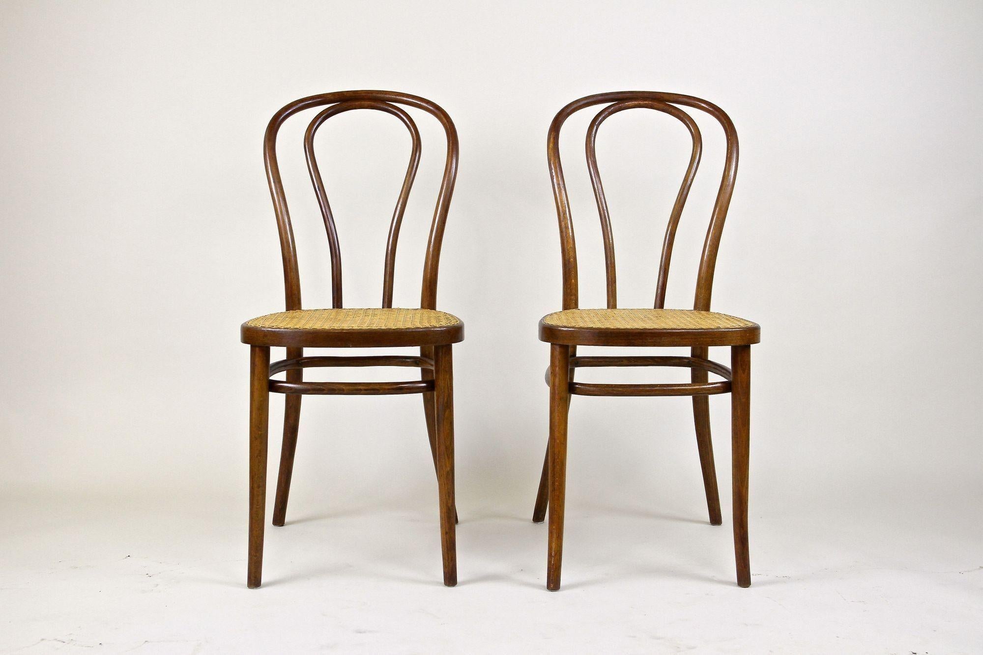 Zwei Jugendstil Thonet Bugholzstühle, Vienesse Mesh, AT ca. 1895 (Art nouveau) im Angebot