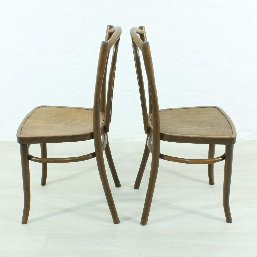 Early 20th Century Set of Two Bentwood Chairs, circa 1920 For Sale