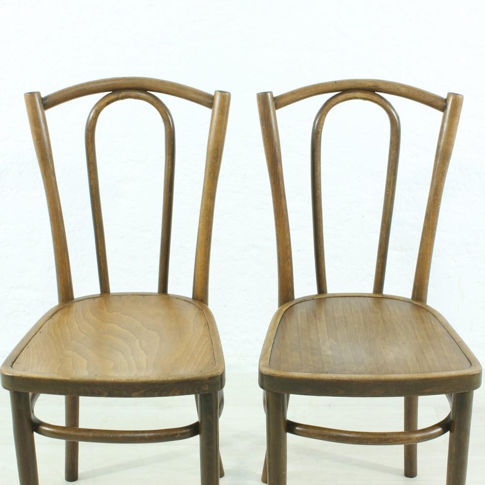 Set of Two Bentwood Chairs, circa 1920 For Sale 1