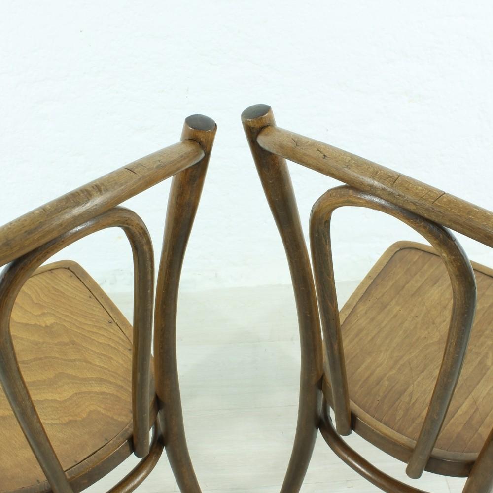 Set of Two Bentwood Chairs, circa 1920 For Sale 4
