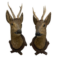 Antique Set of Two Black Forest Wood Carved Deer Head with Real Antlers, 19th Century