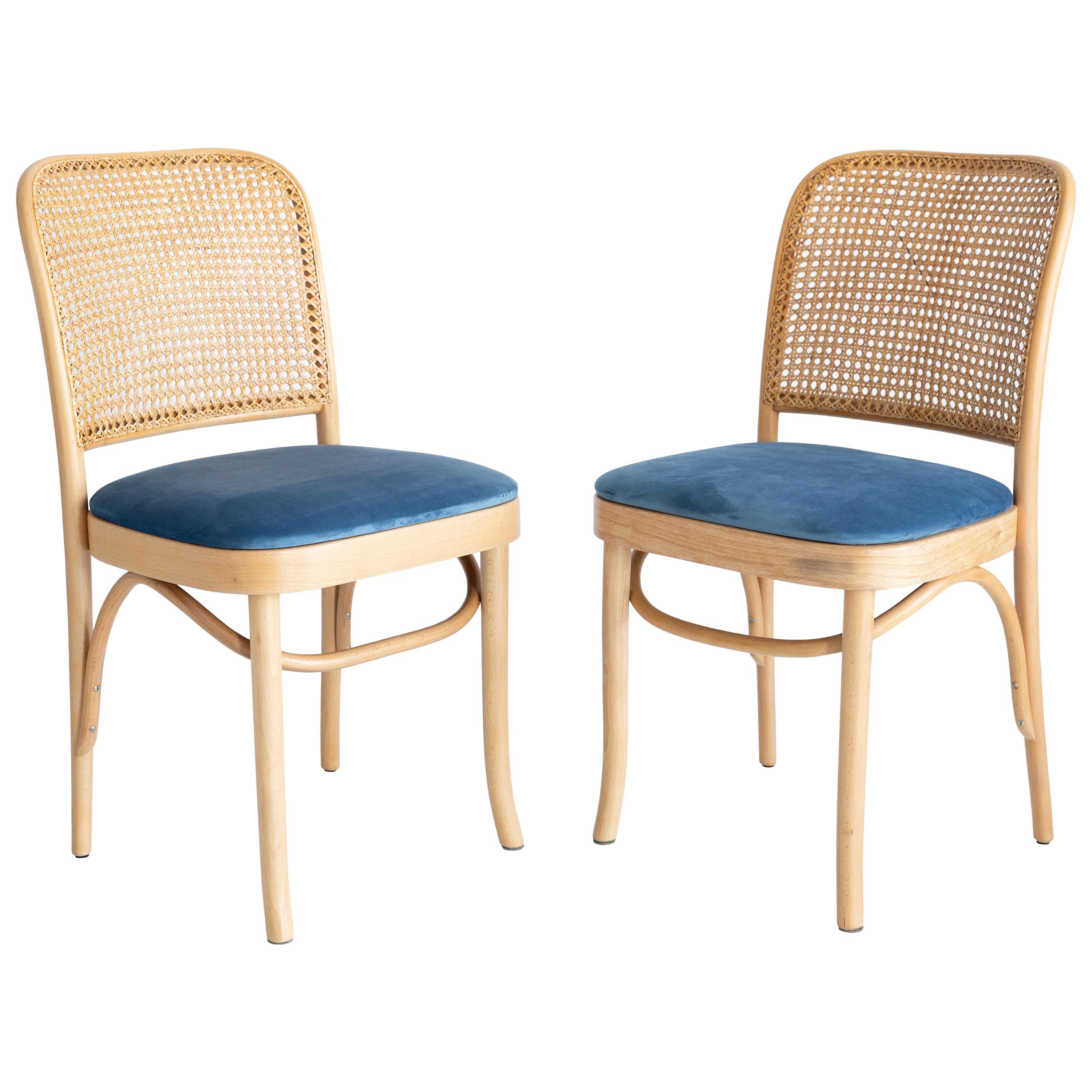 Set of Two Blue Velvet Thonet Wood Rattan Chairs, 1960s