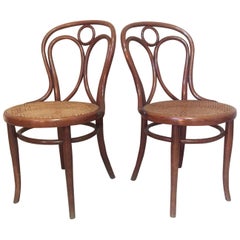 Ensemble de deux chaises de salle à manger Thonet cannées:: années 1900