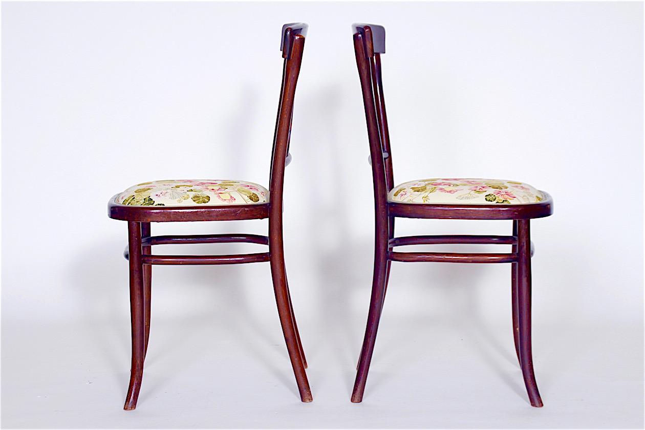 Austrian Jugendstil, Fischel. The items made of mahogany stained bentwood. Two chairs have curved crest upon open back part, at armchairs continues curved armrest above seat. Used. Renovation.