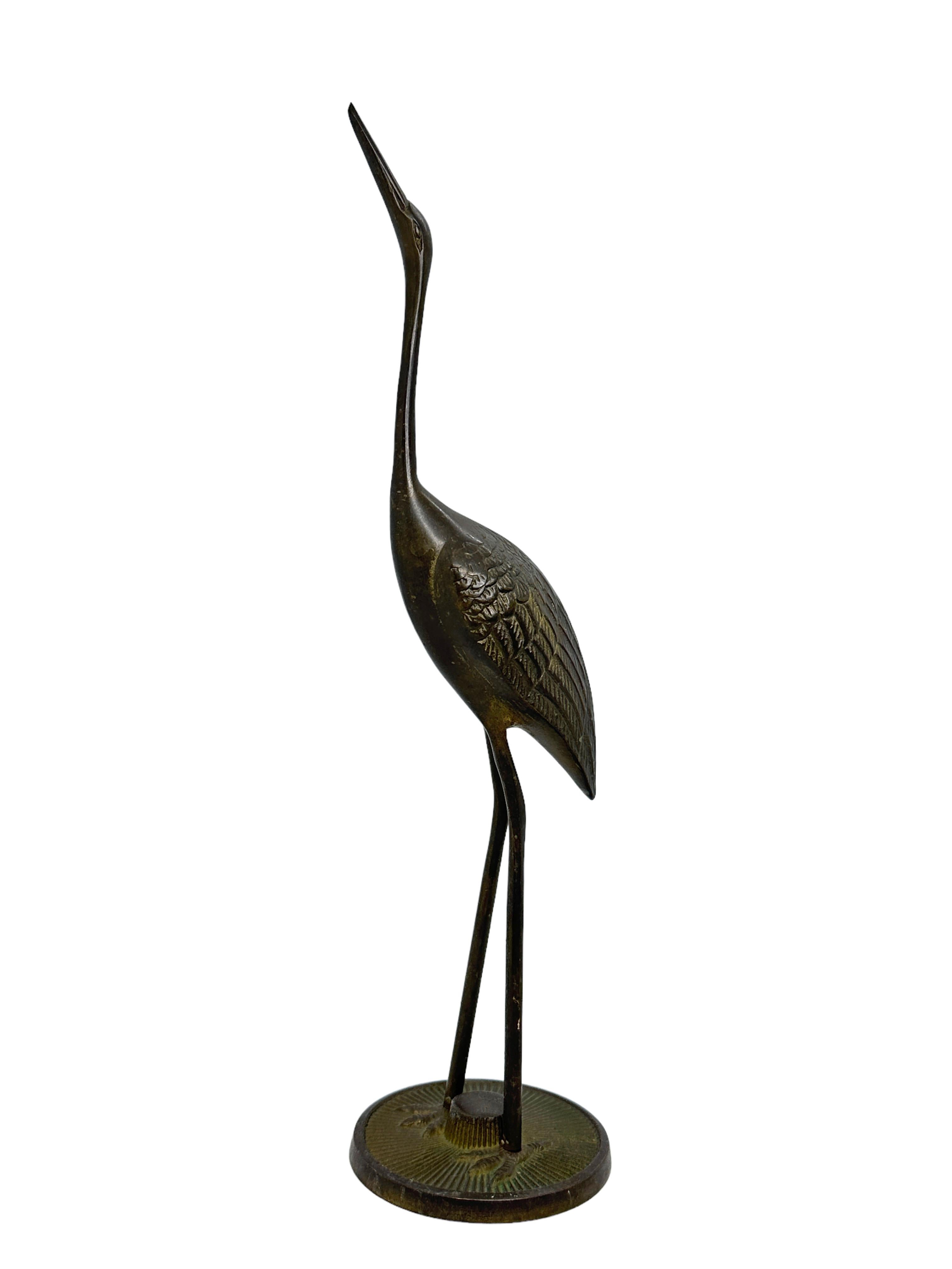 crane vs heron