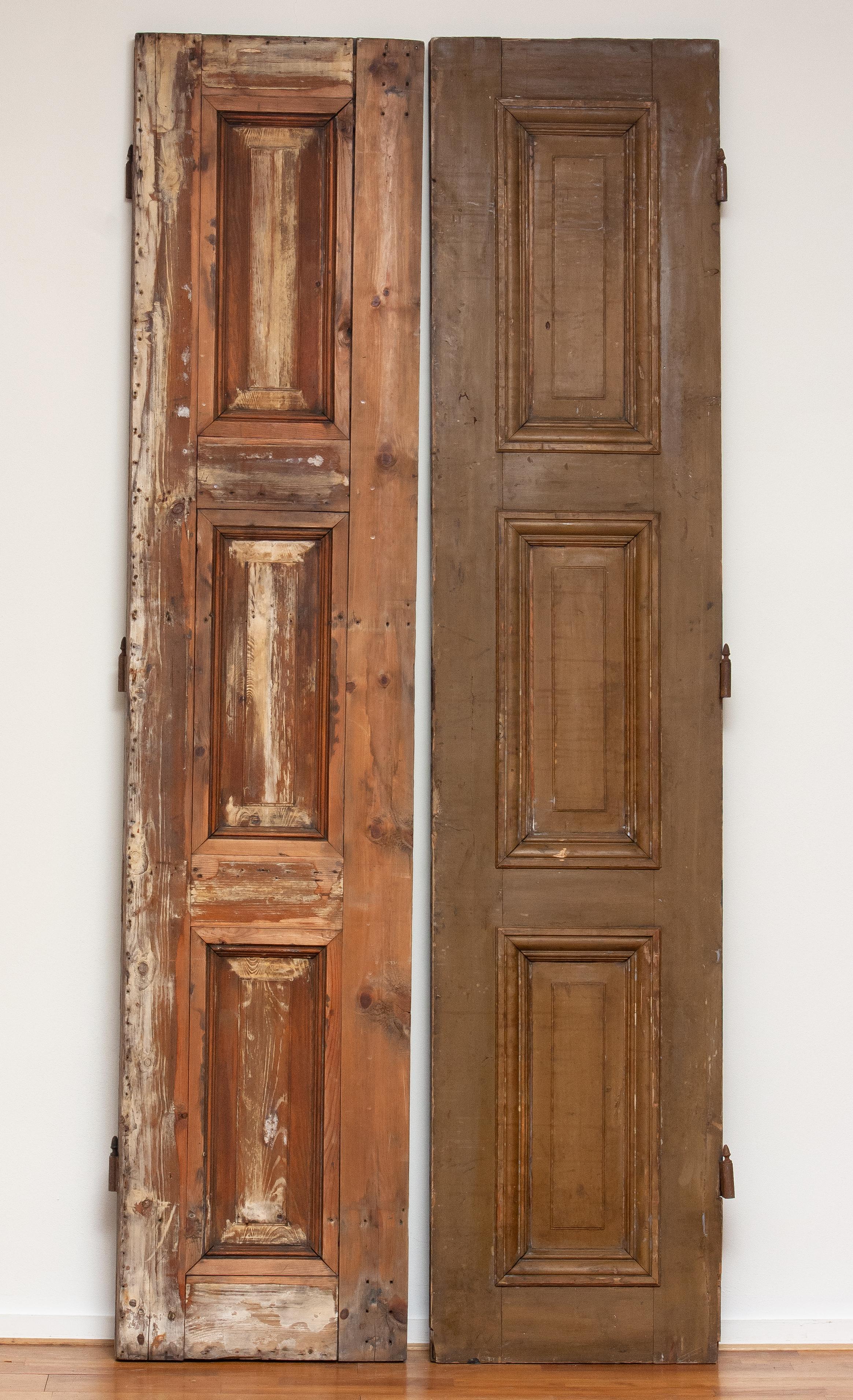 Pine Set Of Two Decorative 18th Century Tall Doors