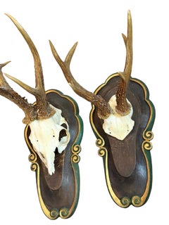 Set of Two Deer Mount Trophy on Wood Carved Plaque, Austria, 1920s or earlier