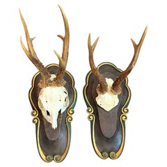 Set of Two Deer Mount Trophy on Wood Carved Plaque, Austria, 1920s or earlier