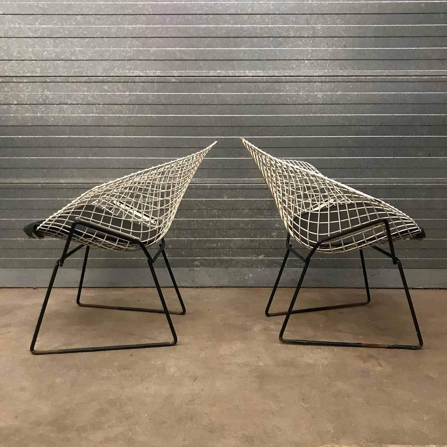 Italiano Set di due sedie Diamond 421, Harry Bertoia, Knoll International in vendita