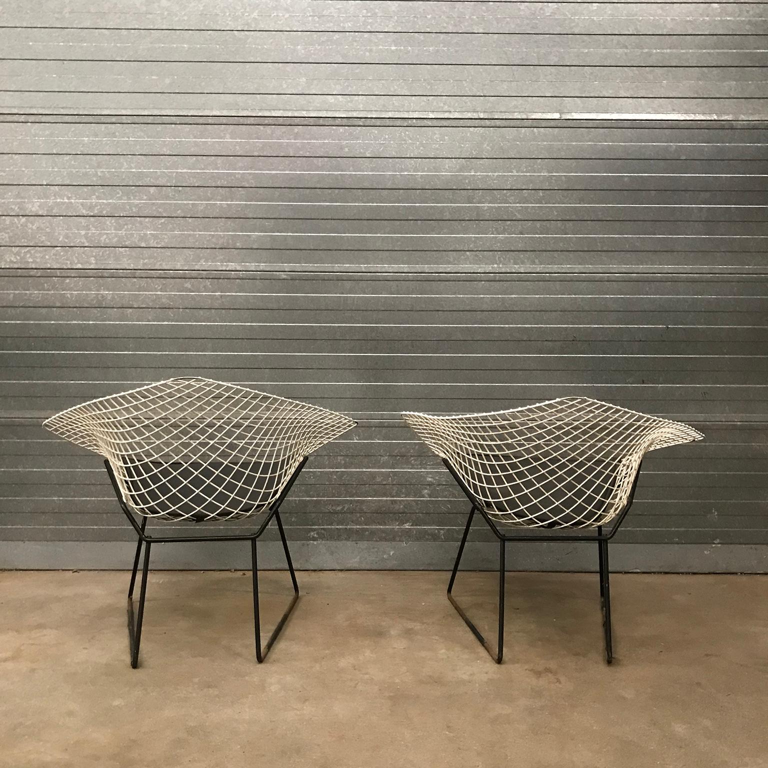 Metà XX secolo Set di due sedie Diamond 421, Harry Bertoia, Knoll International in vendita