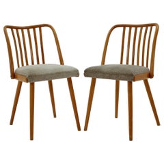 Set of Two Dining Chairs, 1950s