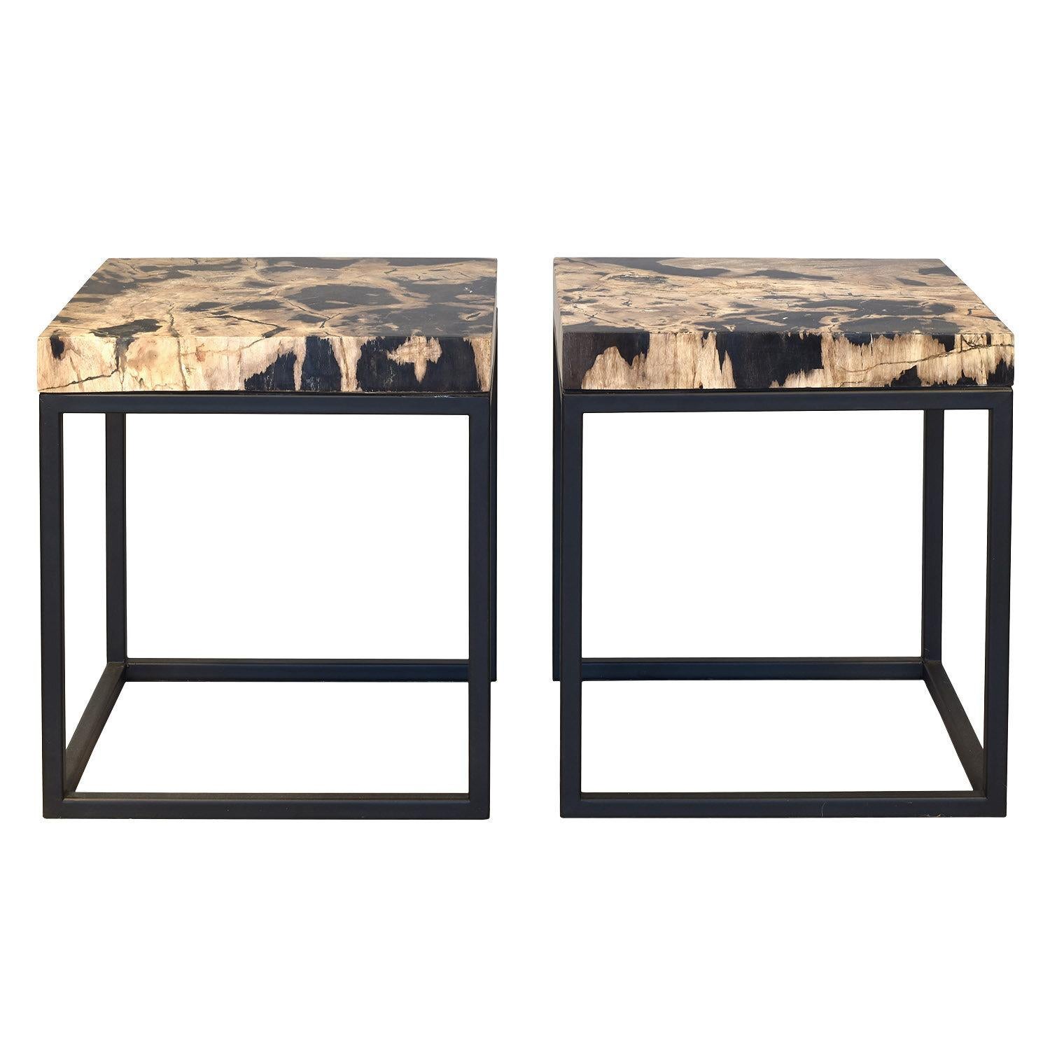 Set of two end tables with petrified wood tabletops from Indonesia

The petrified wood slab tabletop is from a millions of years old Indonesian fossilized rainforest. The table frame is black painted metal.

Petrified wood is a fossilized organic
