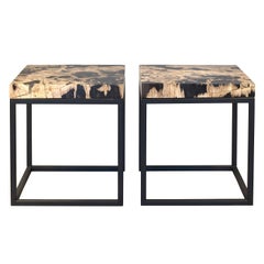 Set of Two End Tables with Petrified Wood Tabletops from Indonesia