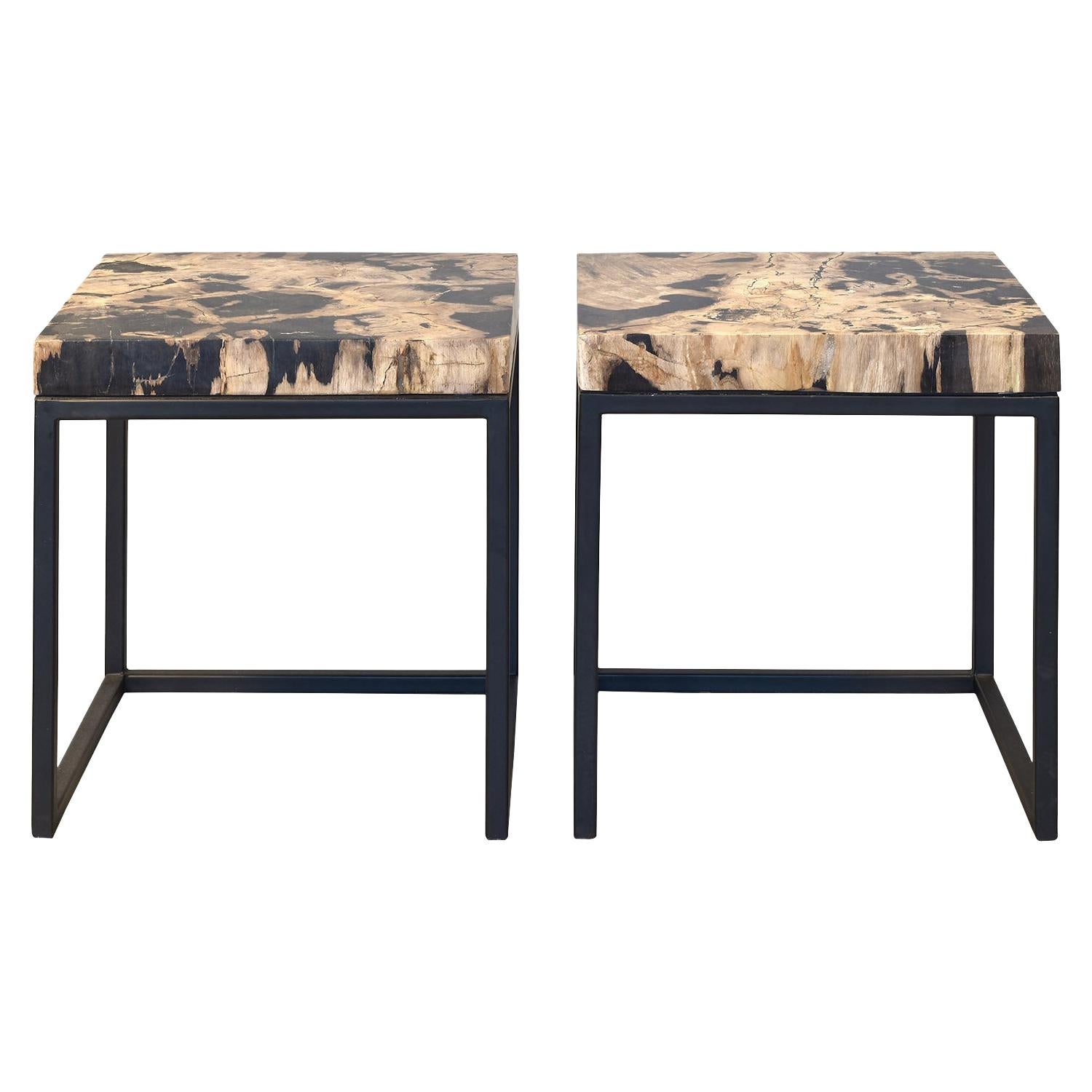 Set of Two End Tables with Petrified Wood Tabletops from Indonesia