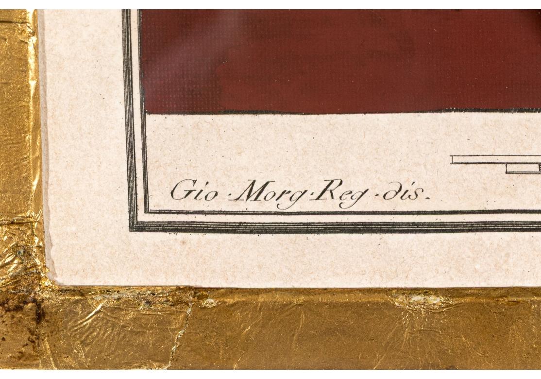 Glass Set Of Two Exceptionally Framed Hand-colored 18th C. Engravings #2 For Sale