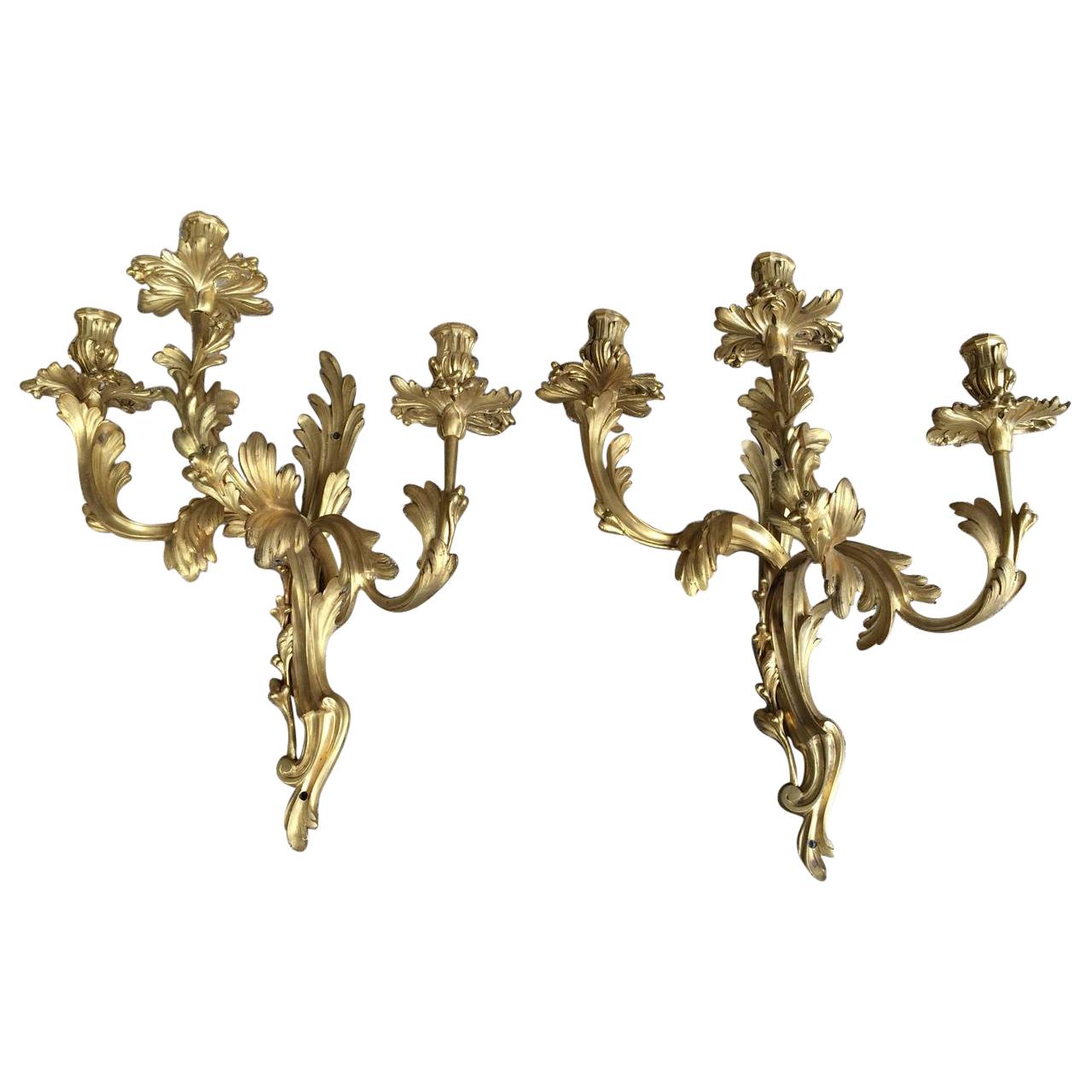 Set of Two Exquisite French Bronze Doré Louis XV Style Appliques
