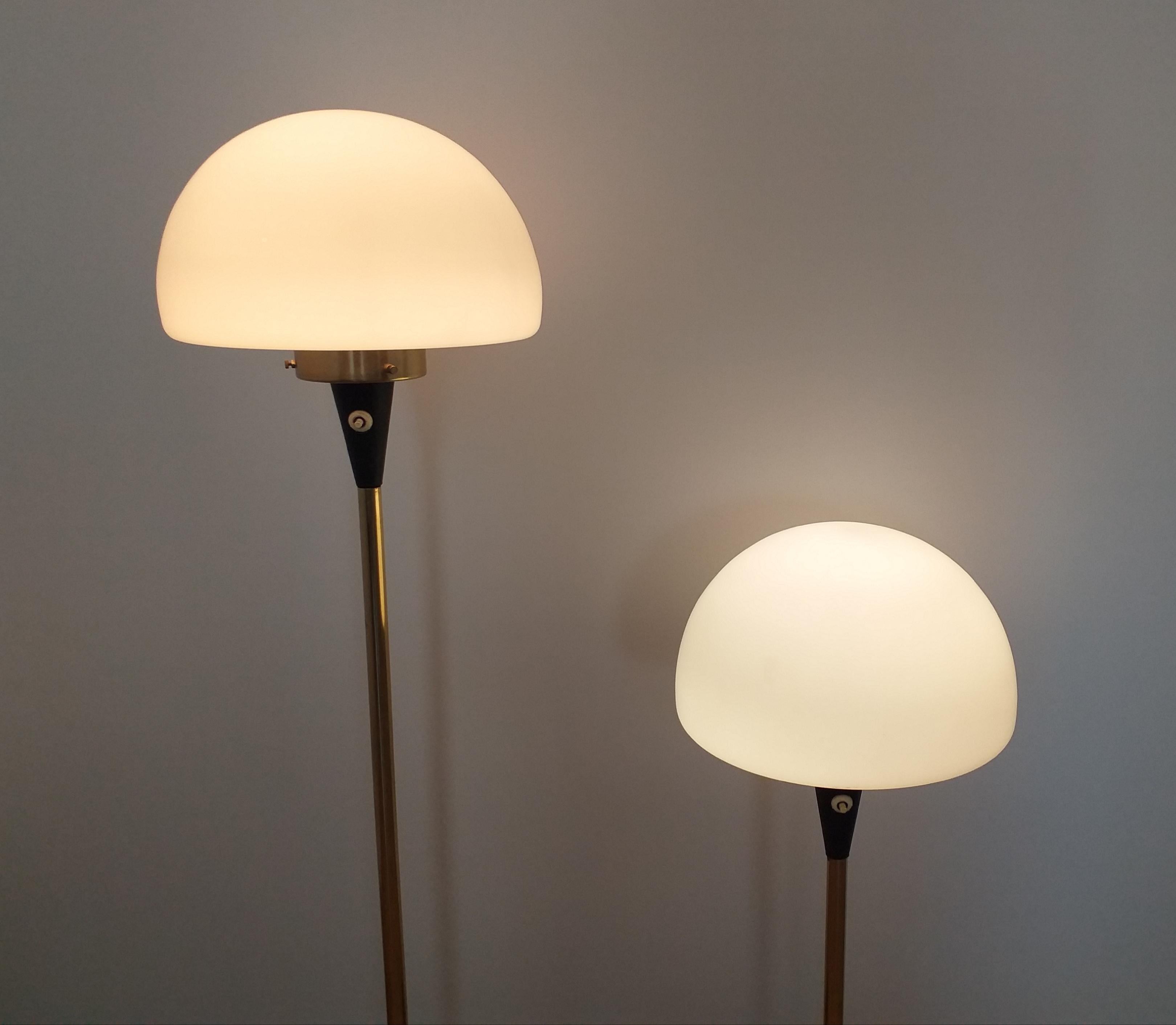 Set of Two Floor Lamps Lidokov Designed by Josef Hurka, 1970s For Sale 1